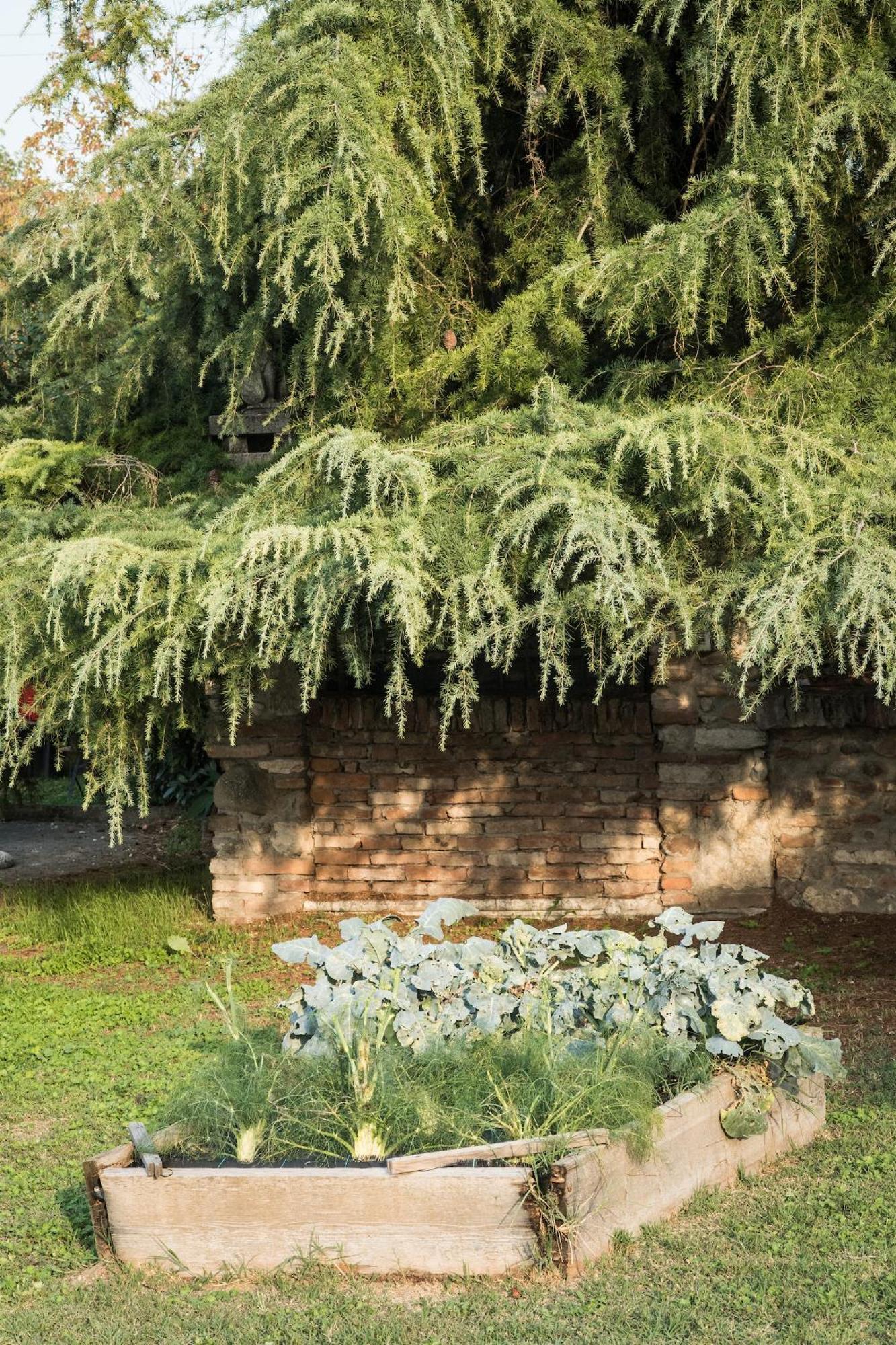 Agriturismo Beatilla Marmirolo Exterior photo